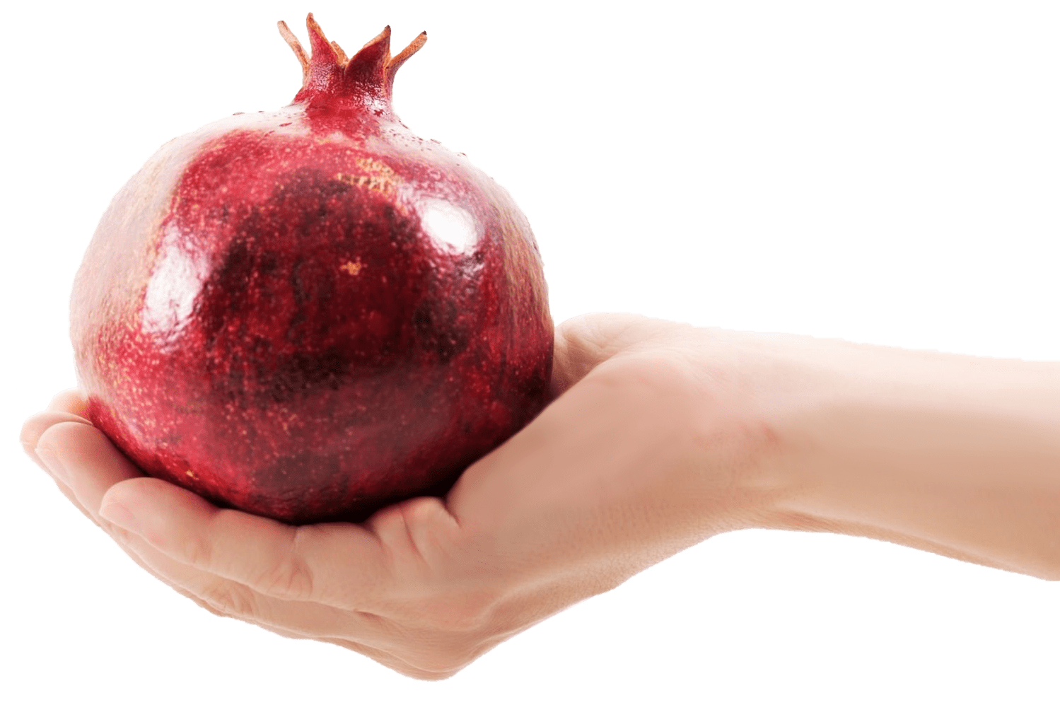 Hand holding a pomegranate (Armenian Marketing Agency)